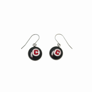 Chattooga Indians Drop Earrings